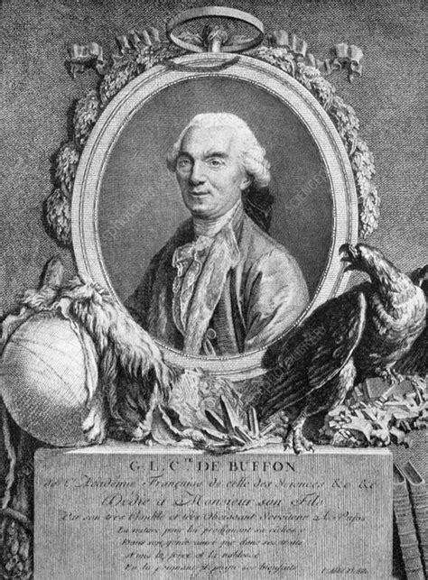 Georges Louis Leclerc Comte De Buffon French Naturalist Stock Image