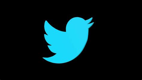 Seeking for free instagram logo png images? 3D Twitter Bird Logo Rotation (black background ...