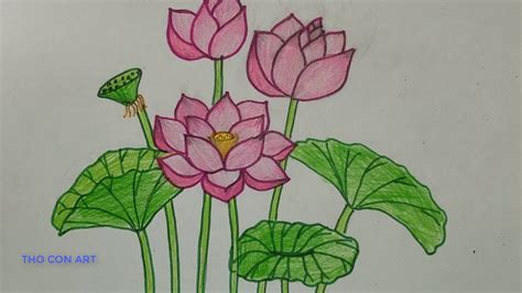 Cách Vẽ Hoa Sen đơn Giản Nhất L How To Draw Lotus Flower Step By Step