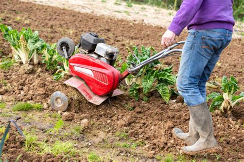 Motoculteur Ou Motobineuse Comment Choisir Paroles De Jardiniers