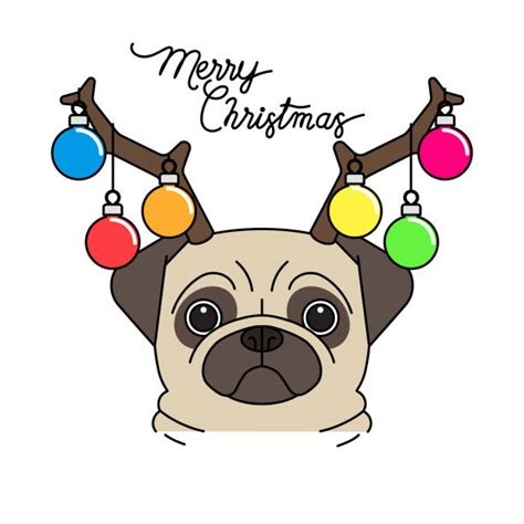 Cartoon christmas pet dog ~ illustrations ~ creative market. Cartoon Of A Christmas Pug Illustrations, Royalty-Free Vector Graphics & Clip Art - iStock