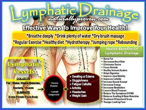 Lymphmassage Lymph Massage Benefits Of Lymphatic Lymph Massage