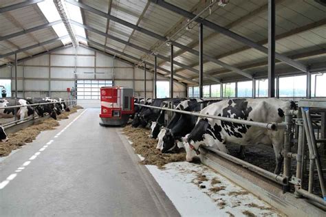 Dairy Farming In Canada Canadian Dairy Breeds Agri Farming