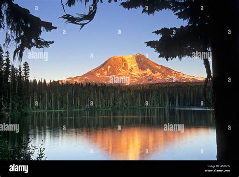 Mount Adams Towers Over Takhlakh Lake In The Ford Pinchot National