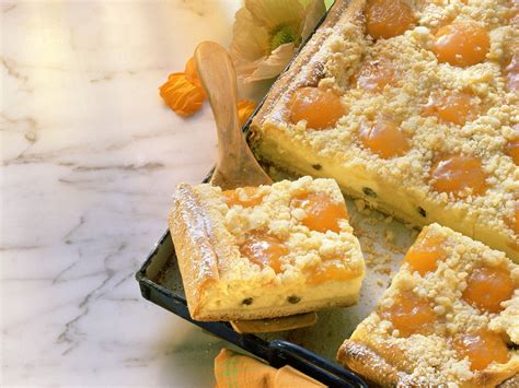 Aprikosen -Käsekuchen vom Blech Rezept