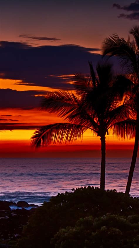 Hawaii Sunset Iphone Wallpaper