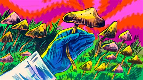 legalizing nature magic mushrooms may be legal by 2023 tv309