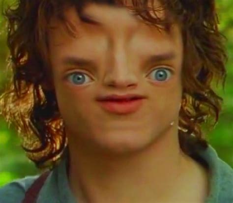 No memes, compilations, or starter packs. Sloth-Facing | Know Your Meme