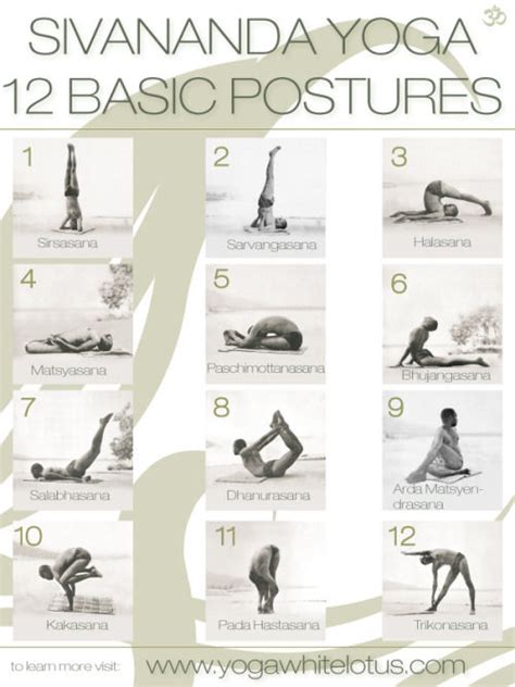 A balanced yoga class moves the spine in every direction to give the body an equal stretch to each part. Sivananda Yoga 12 Basic Postures Pictures, Photos, and Images for Facebook, Tumblr, Pinterest ...