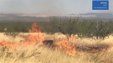 Video Shows How Gender Reveal Stunt Gone Wrong Started An Arizona Wildfire Chicago Tribune