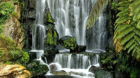 Waterfalls Algae Covered Stones Rocks Green Trees Nature Hd Wallpaper