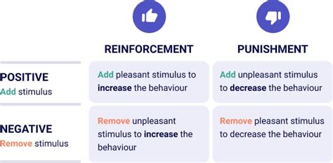 Is Positive Reinforcement More Effective Than Negative Punishment