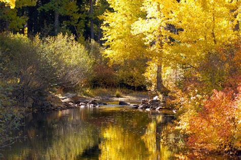 Best Time To See California Fall Colors 2024 When To See Roveme