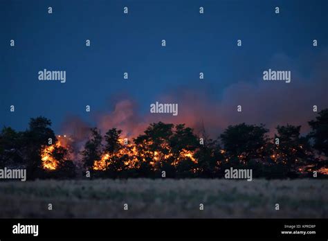 Forest Fire At Night Stock Photo Alamy