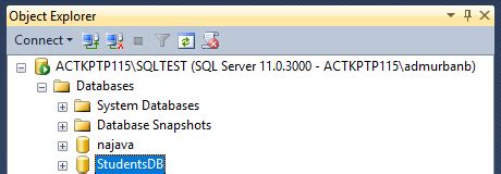 Sql Server Adding A Sql Connection To The Asp Net Core Application