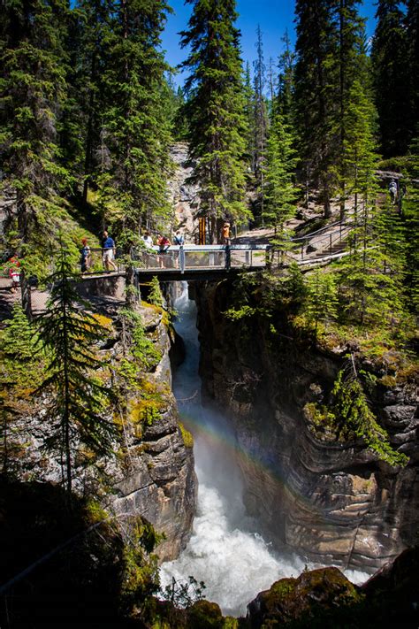 Maligne Canyon Summer All About Jasper National Park