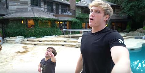 Logan Paul Ads Suspended From Youtube For Tasing Rats And Telling
