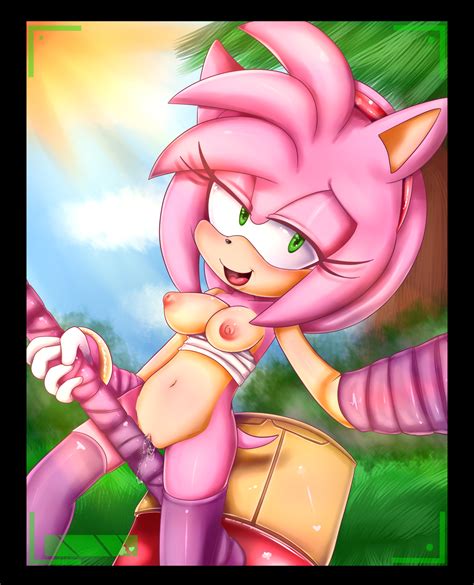 Rule Amy Rose Anthro Breasts Female Female Only Fur Hammer Hearlesssoul Hedgehog Piko Piko