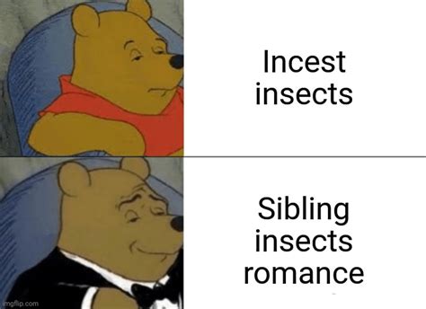 Insects Imgflip