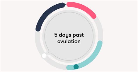 5 Dpo Are There Any Pregnancy Symptoms 5 Days Past Ovulation