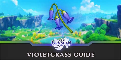 Find Genshin Impact Violetgrass Farm Guide