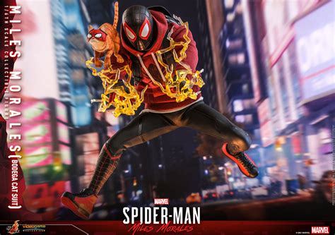 Hot Toys Vgm50 Marvels Spider Man Miles Morales Bodega Cat Suit