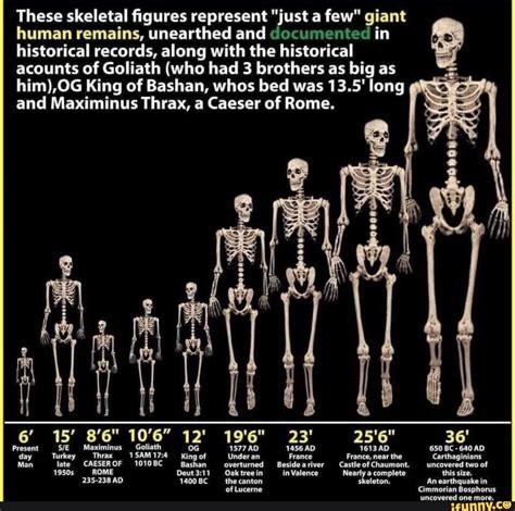 These Skeletal Figures Represent Just A Few Giant Human Remains