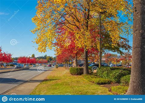 City Street With Autumn Yellow Orange And Red Trees Autumn Scene In