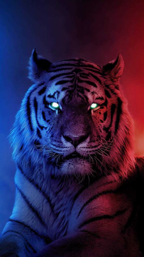 Awesome Tiger Wallpapers