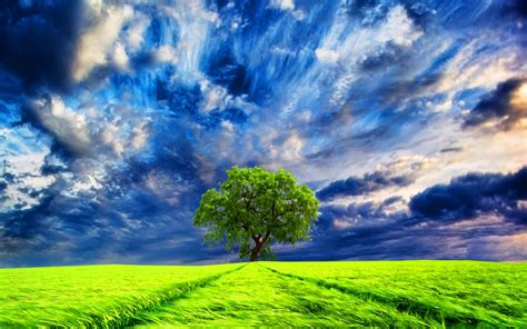 3004719 1920x1200 Cloud Earth Field Green Lonely Tree Sky Tree