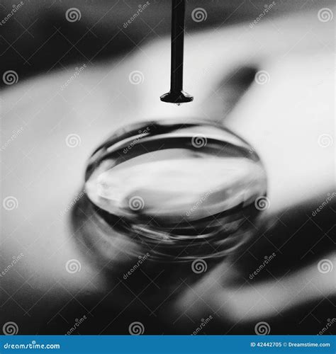 Needle In A Water Drop Stock Image Image Of Shot White 42442705