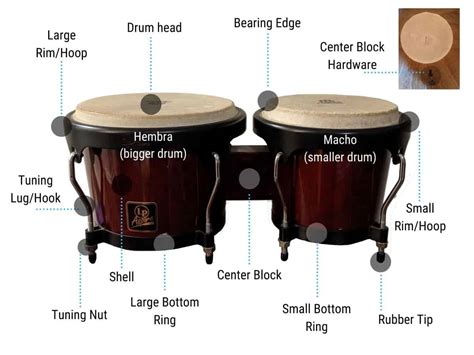 How To Tune Bongo Drums Without Ruining Them A Complete Guide Sound