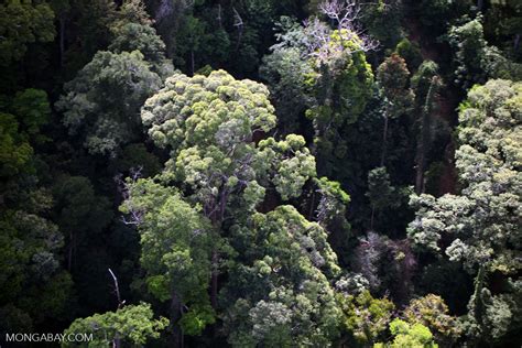 Eddie (kiri), noorziean (kanan) kota kinabalu: Borneo rainforest -- sabah_0480