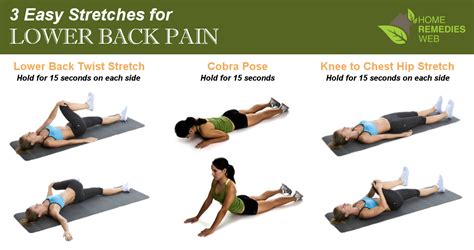Lower Back Pain Treatment Exercises Stretches