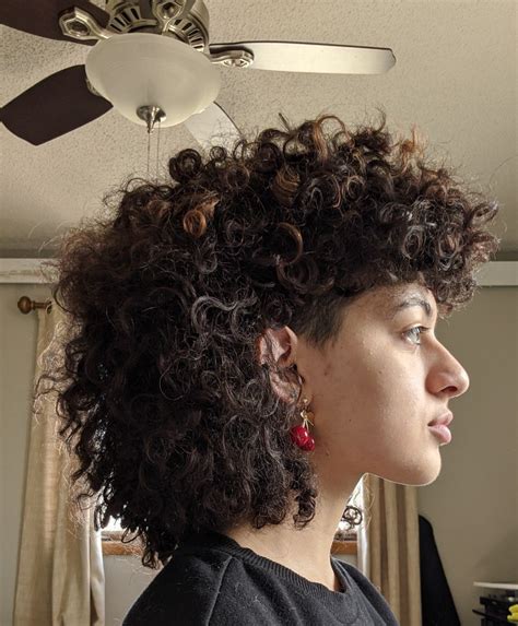 Modern Curly Mullet Haircuts For Curly Hair Curly Hair Styles Curly