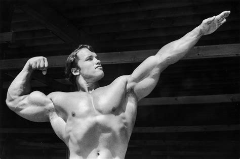Antiquitäten And Kunst Arnold Schwarzenegger 10 Bodybuilder Actor Earn
