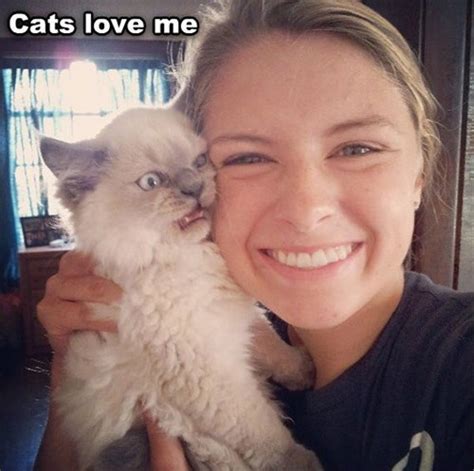 Nothey Really Dont Lolcats Lol Cat Memes Funny Cats Funny