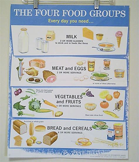 See more ideas about four food groups, dental health month, dental health activities. The Four Food Groups | Poisonous Nostalgia | Pinterest