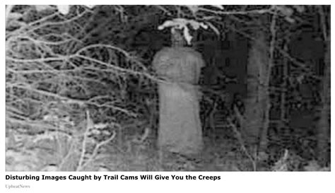 the mystery of the paranormal trail camera photograph
