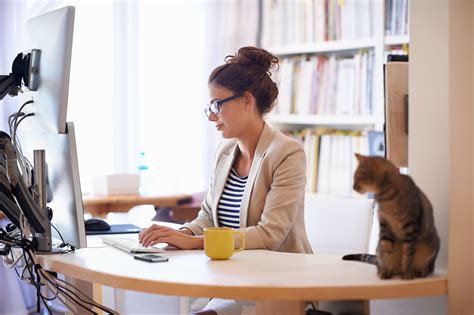 easy work-from-home computer jobs | Computer jobs, Amazon jobs, Work