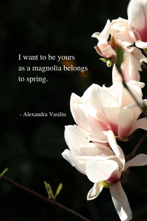 Awesome Magnolia Flower Quotes 10