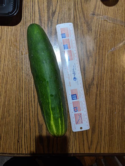 my exactly 12 inch cucumber gardening