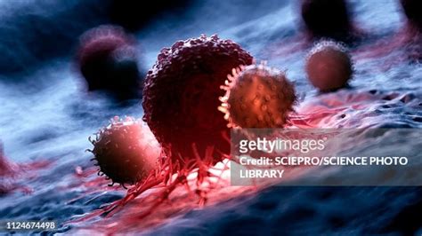 Illustration Of White Blood Cells Attacking A Cancer Cell High Res