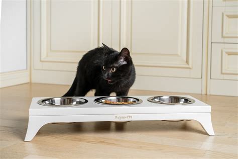 3 Bowl Cat Feeder Stand Raised Cat Feeding Station 3 Bowls Etsy