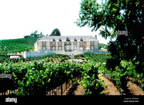 Napa Valley California Usa Wine Region Winery Landscape Domaine