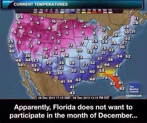 The Essence Florida Winter