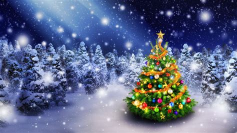 Download Lighted Christmas Tree Hd Wallpaper By Mwhitehead Lighted