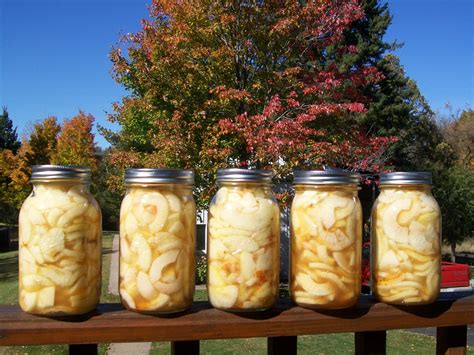 Make a dessert as american as apple pie by serving up, well, the patriotic pie itself. Homemade canned apple pie filling. | Canned apple pie ...