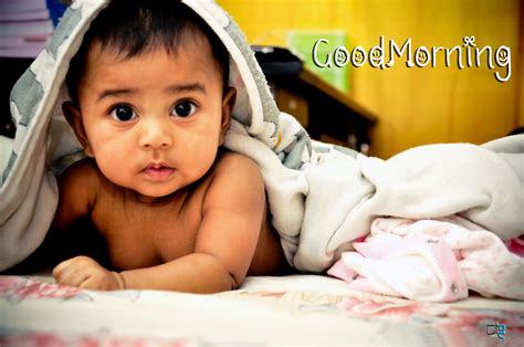 Labace Good Morning Quotes In Telugu Videos