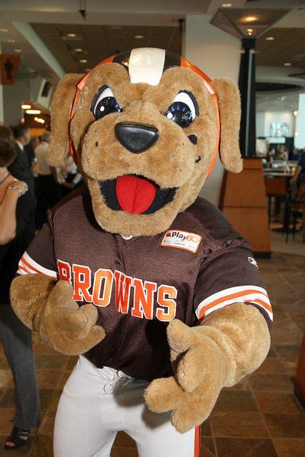 Cleveland Browns Mascot Chomps Browns Mascot Cleveland Browns Mascot